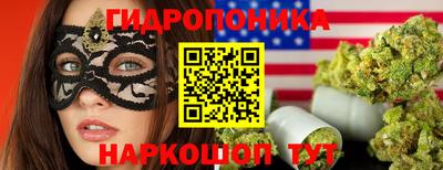 гидра Лесосибирск