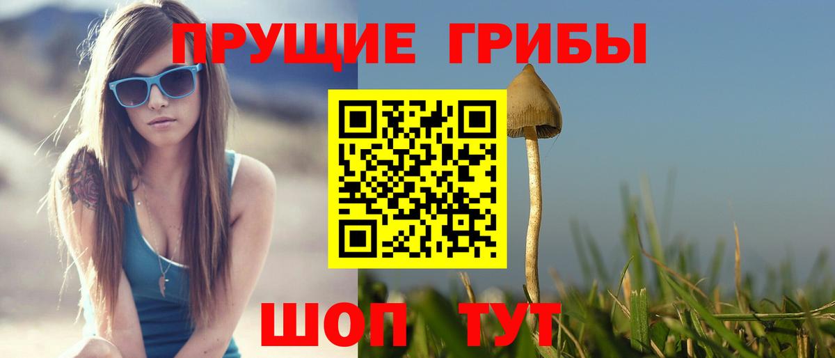 Псилоцибиновые грибы мухоморы Гусь-Хрустальный